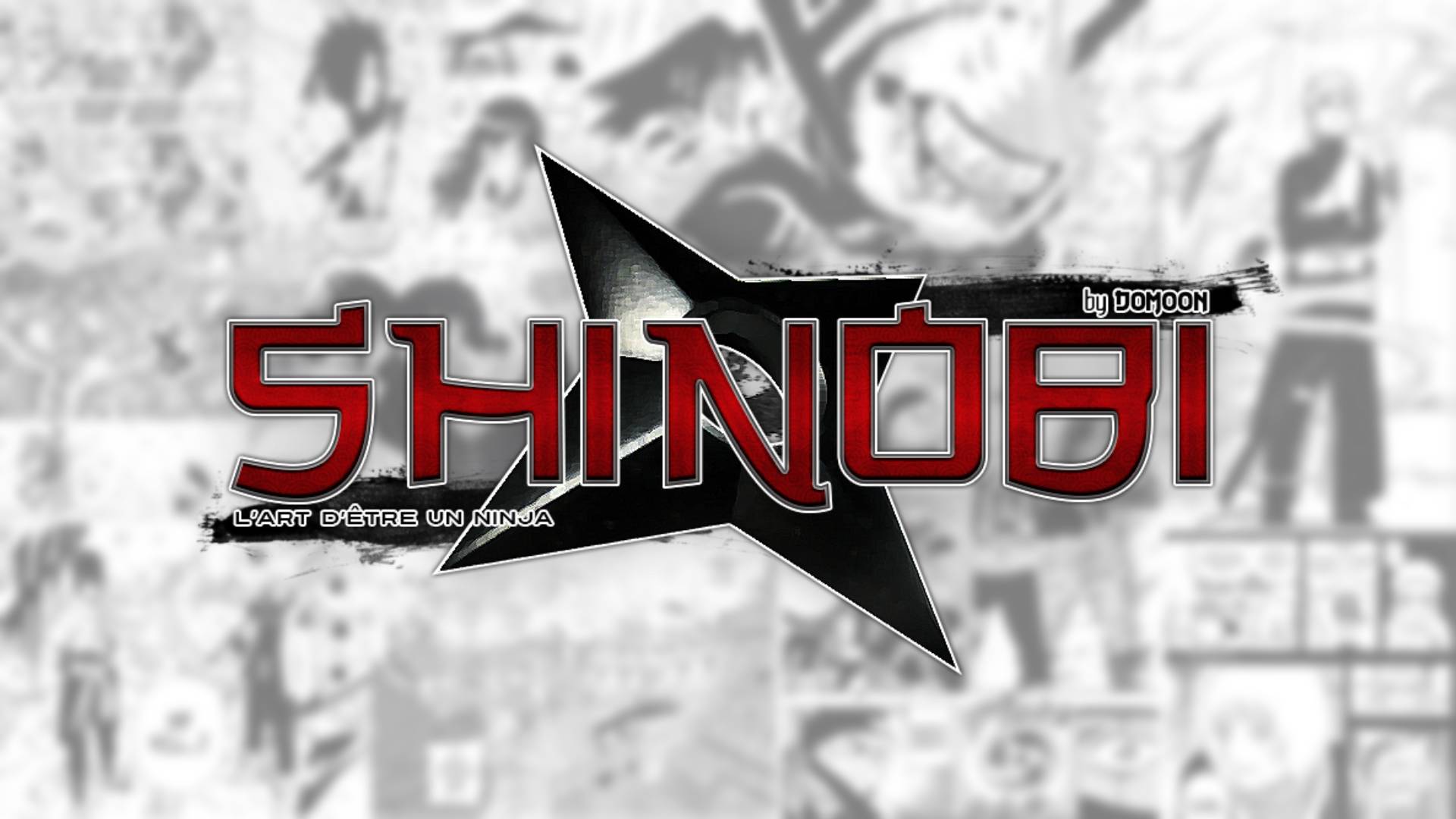 Projet Shinobi Art